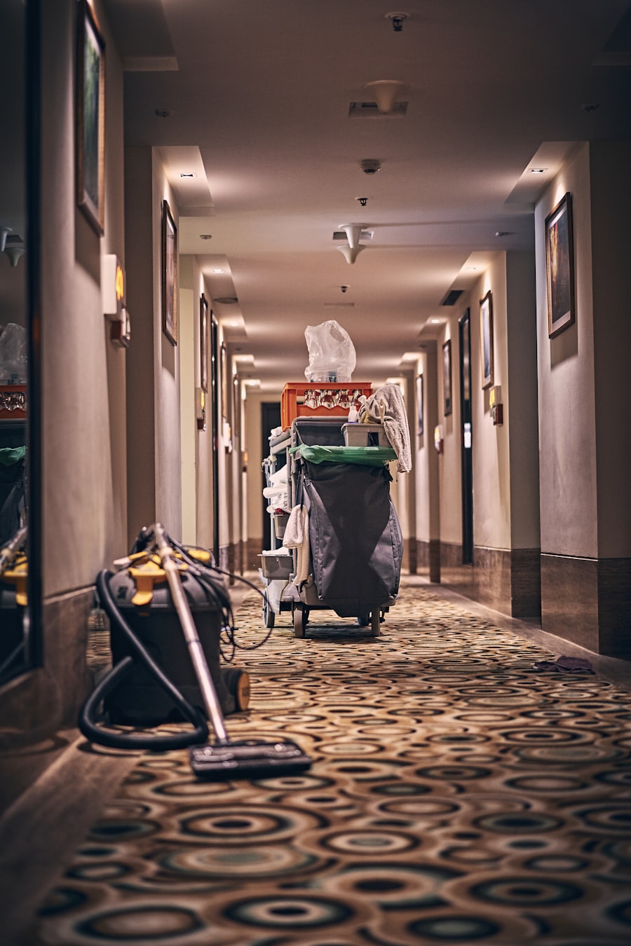 Professional cleaning service